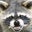 Kenneth Britcher's profile image