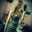 Crystal Mastowski's profile image