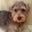 Cindy G's profile image