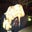 Amber Pearce's profile image