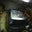 Royal Wagoner's profile image