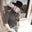 Wes C's profile image