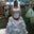 Angel Curtis's profile image