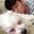 Brian Nguyen's profile image