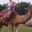 Amie Hayward's profile image