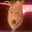 Scott Millard's profile image