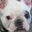 Ronda Binen's profile image