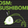 DSM:SushiBomb www.dsmsushibomb.com