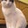 Irene Griffin's profile image