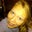 Mary Dorr's profile image