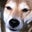 Kara M's profile image