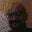 Eric Freedman's profile image