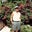 Paul Steele's profile image
