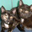 Leanne Maccabee's profile image