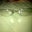 Bob Colaizzo's profile image