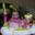 Jill Allison's profile image