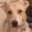 Michelle Westrich's profile image