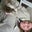 Lori R.'s profile image