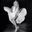 Cindy Thompson's profile image
