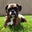 Brian M.'s profile image