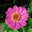 Baloney Bridgets's profile image