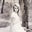 Margo Borders's profile image