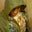 Malachi's profile image