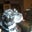 Maryann Colletti's profile image