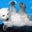 Anna Maria Ross's profile image