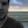 Niclas Hulting's profile image