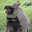 Jeff Iversen's profile image