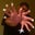 hevn snt's profile image