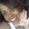 Lil Bit 407's profile image