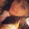 Karissa Cruz's profile image