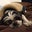 Robin McCarthy's profile image