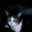 Jamie P.'s profile image