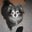 Carla Mihm's profile image