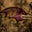 Lisa Felty-Wood's profile image