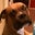 Chris Cyman's profile image