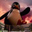 David Black's profile image