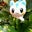 Kieu Trang H's profile image