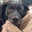 Mike Buettner's profile image