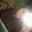 Rachel Drivas's profile image