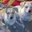 Francisca Zoller's profile image