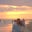 Joanne Carlos's profile image