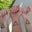 Sylvia Rose Hampton's profile image