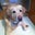 Kelly Evenden's profile image
