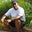 Tracy Mitchell's profile image