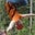 Jerry Miller's profile image