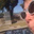 Jamie Tamburo's profile image